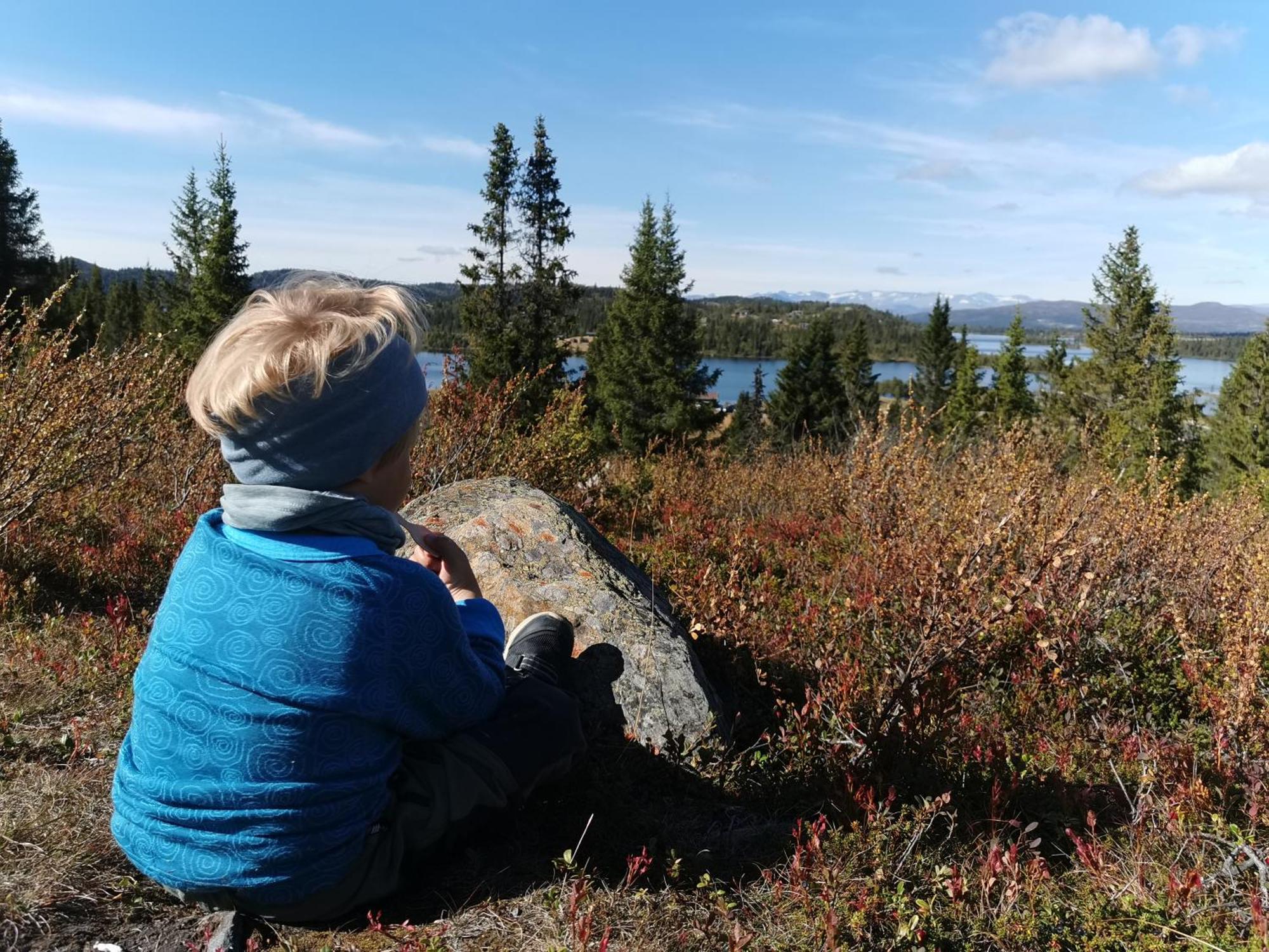 Готель Gronolen Fjellgard Beitostolen Екстер'єр фото